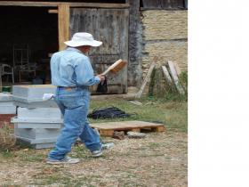 photo coins arrondis